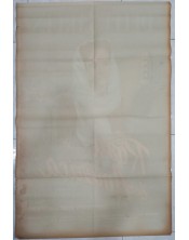 Cártel de cine- Rosa De América.