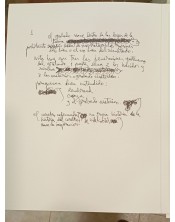 Flautista de Juan Ripollés