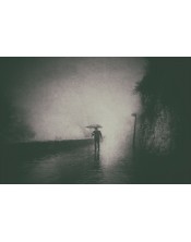 Paseo bajo la niebla