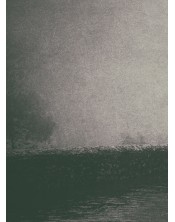 Paseo bajo la niebla