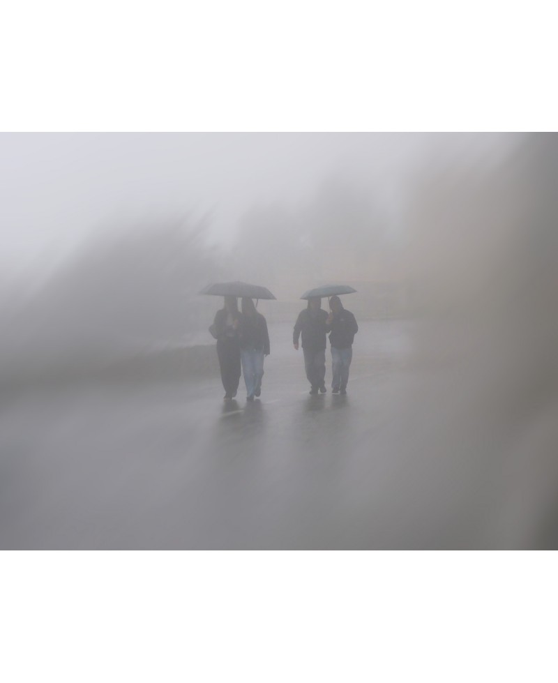 Paseo Brumoso: Escena de Niebla Urbana