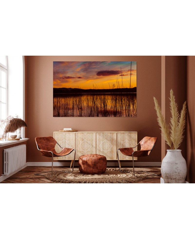 Explosión Naranja: Atardecer en el Humedal