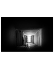 "Esencia y Luz: Reflejo en el Tiempo"