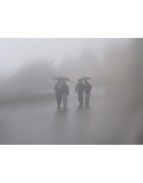 Paseo Brumoso: Escena de Niebla Urbana