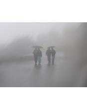 Paseo Brumoso: Escena de Niebla Urbana