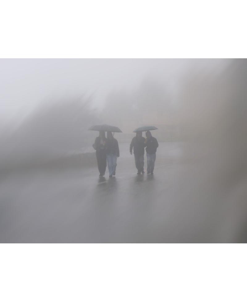 Paseo Brumoso: Escena de Niebla Urbana