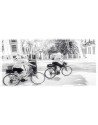 Bicicletas