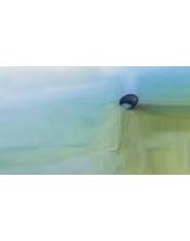 fotografía onirica de un paraguas