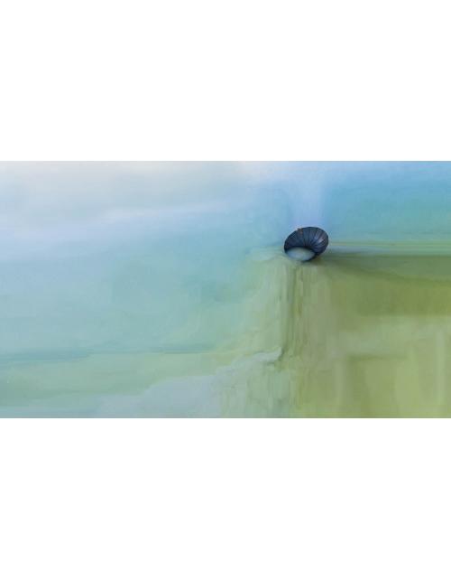 Memoria de un Sueño Azul