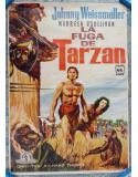 Cartel Original de Cine "La Fuga de Tarzán" (Vintage, 1967) - MGM Classics