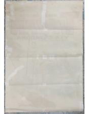 Cartel de cine- Tarzán y la Cazadora