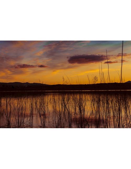 Explosión Naranja: Atardecer en el Humedal