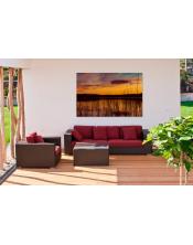 Explosión Naranja: Atardecer en el Humedal