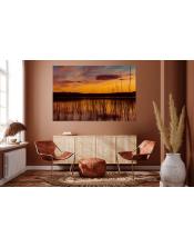 Explosión Naranja: Atardecer en el Humedal