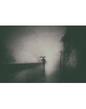 Paseo bajo la niebla