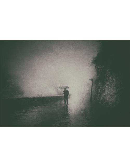 Paseo bajo la niebla