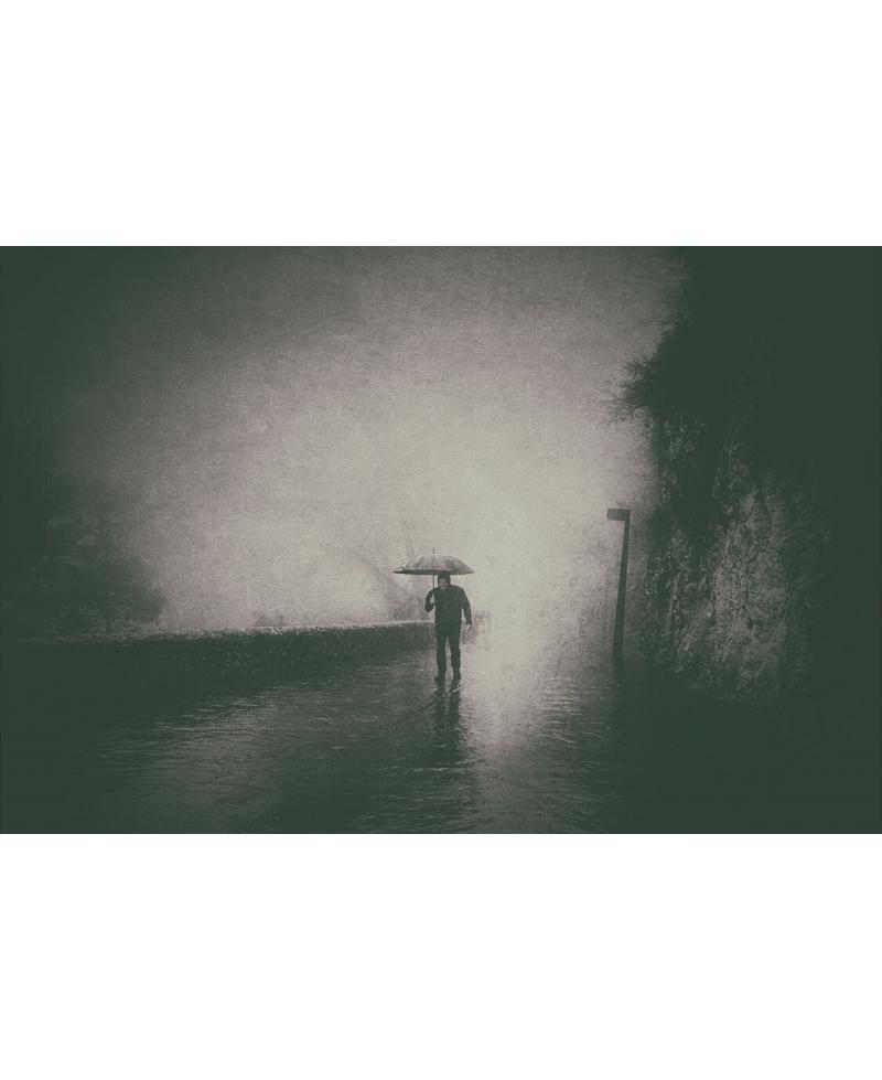 Paseo bajo la niebla