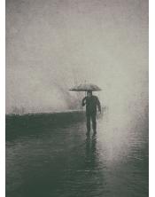 Paseo bajo la niebla