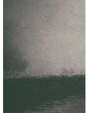 Paseo bajo la niebla