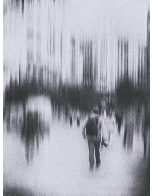 Enfoque Urbano: El Observador Silencioso