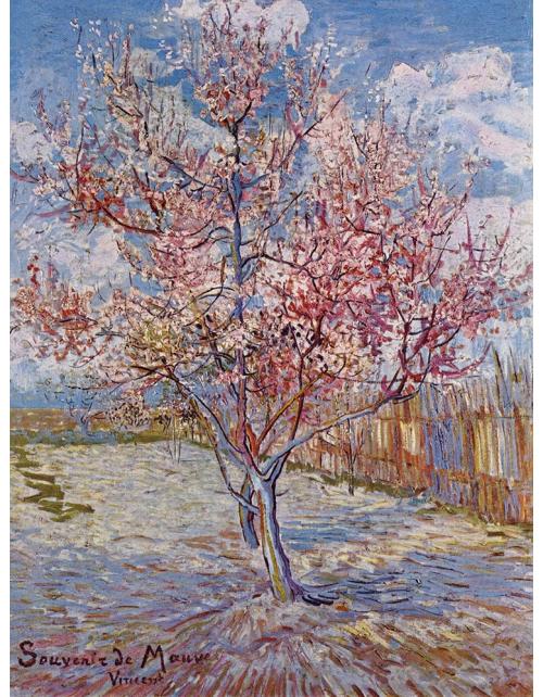 lamina. Árbol rosa Van Gogh