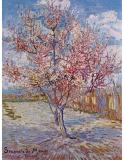 Árbol rosa Van Gogh