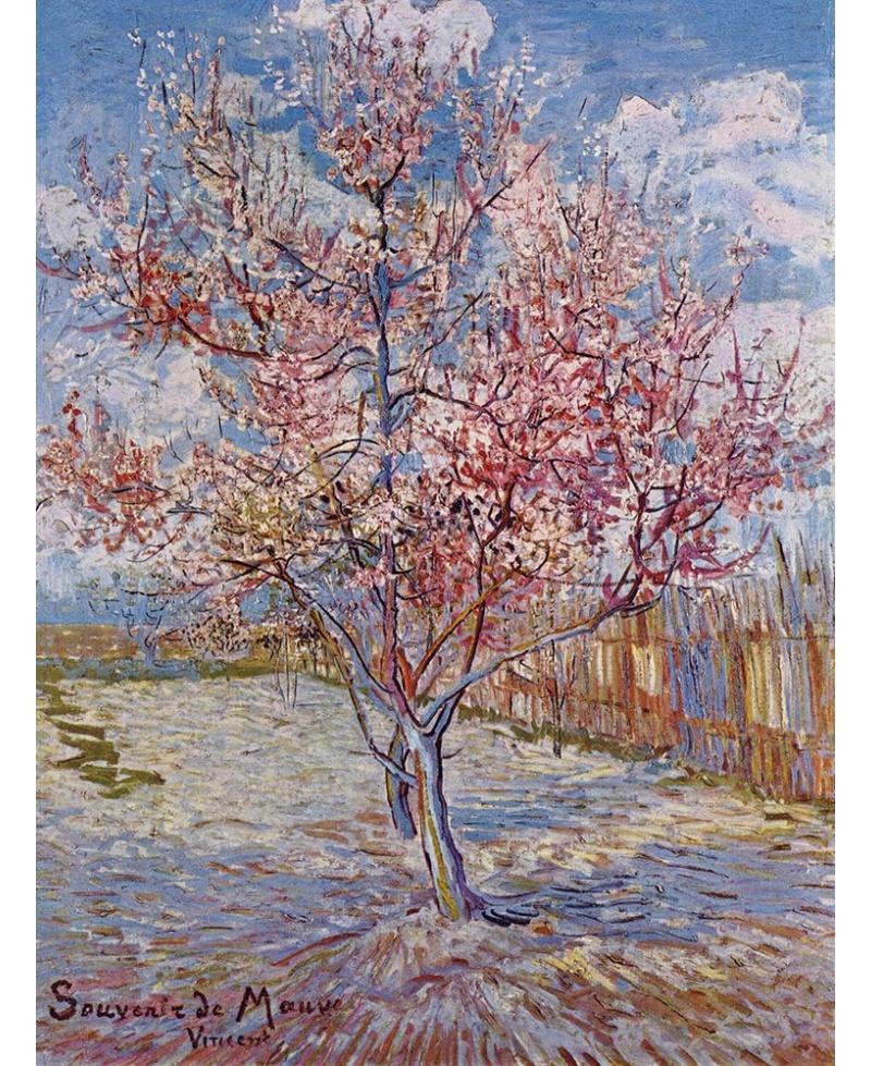 lamina. Árbol rosa Van Gogh