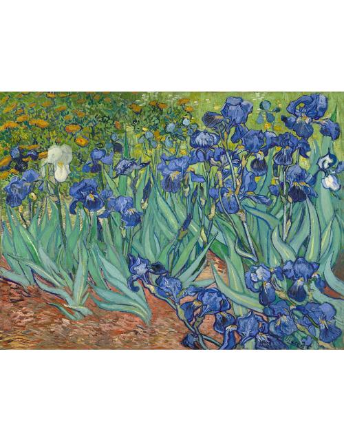 lamina lirios de van gogh