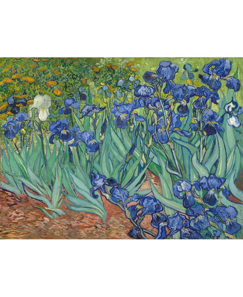 lamina lirios de van gogh