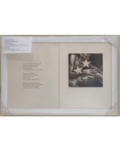 Grabado de Manuel Boix del collar de la Coloma