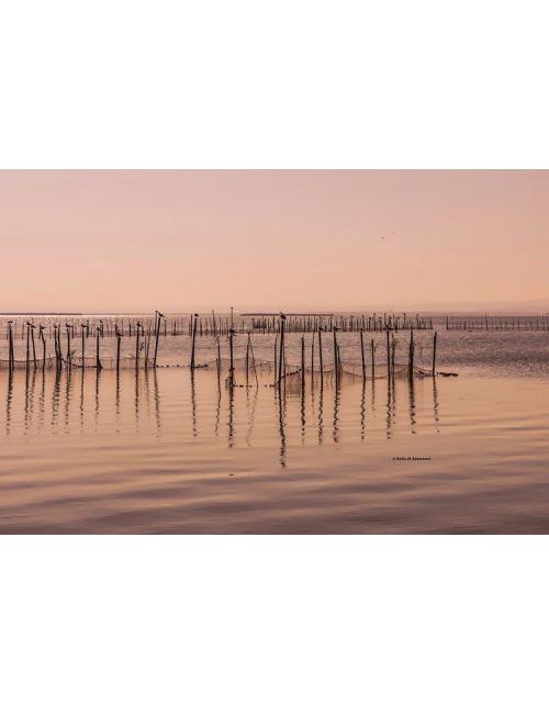 Fotografía de pesca en la albufera-