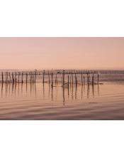 Fotografía de pesca en la albufera-