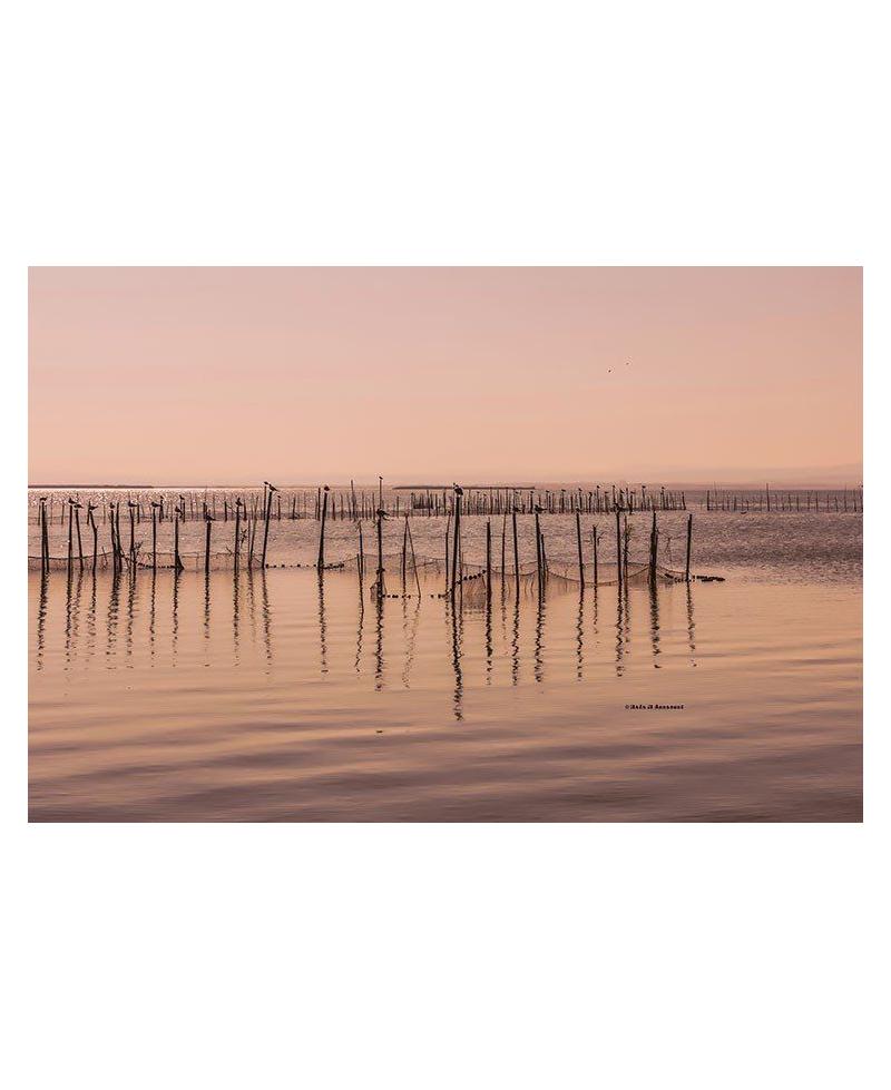 Fotografía de pesca en la albufera-