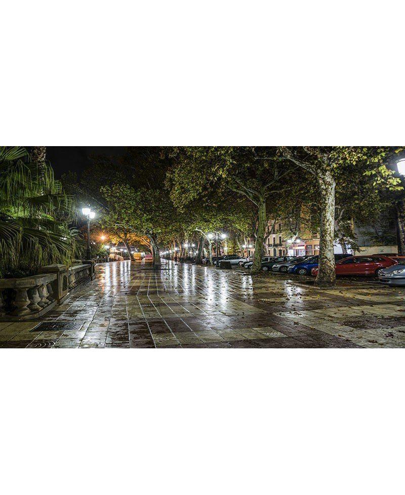 Fotografía de la Alameda de Xàtiva