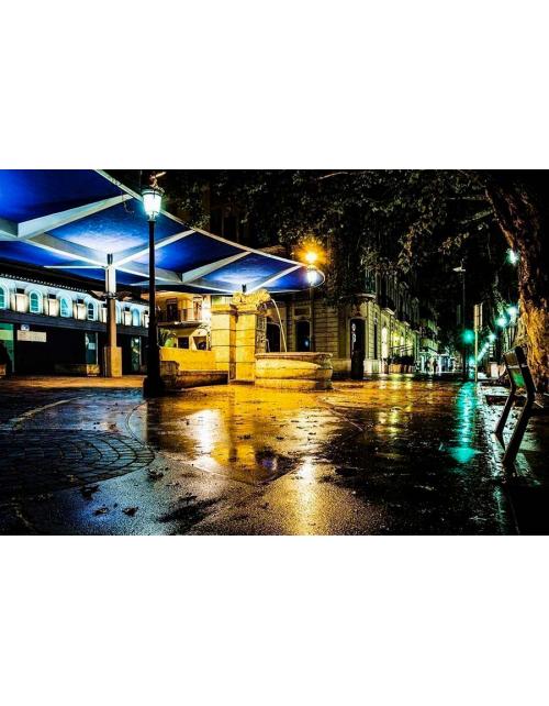 Fotografía Artística | Fuente del León