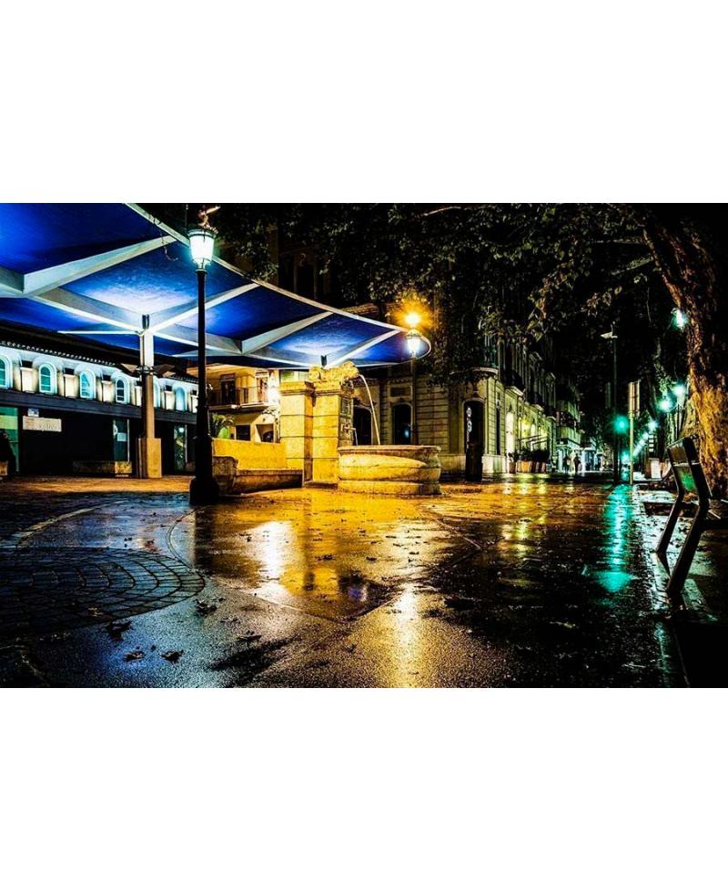 Fotografía Artística | Fuente del León