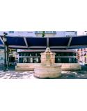 Lámina Artística - "La Fuente del León" (Xàtiva).