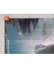 Cartel de cine KIng kong