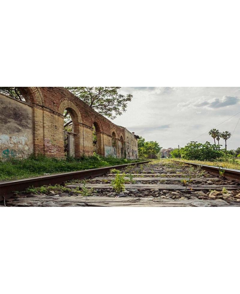 Foto Panorámica Estación Tren Abandonada