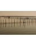Fotografía Artística Pesca Tradicional en la Albufera (65x43 cm)