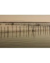 fotografía de la pesca tradicional en la Albufera (65x43 cm)