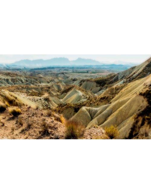 Lámina fotográfica de una rambla natural con texturas de erosión.