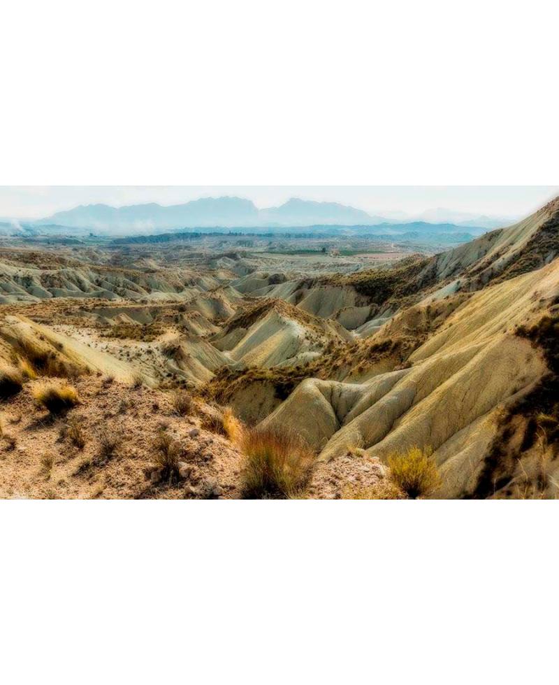 Lámina fotográfica de una rambla natural con texturas de erosión.