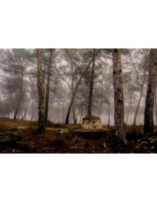 Fotografía Artística Restos del Balneario de Bellús