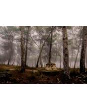 Fotografía Artística Restos del Balneario de Bellús