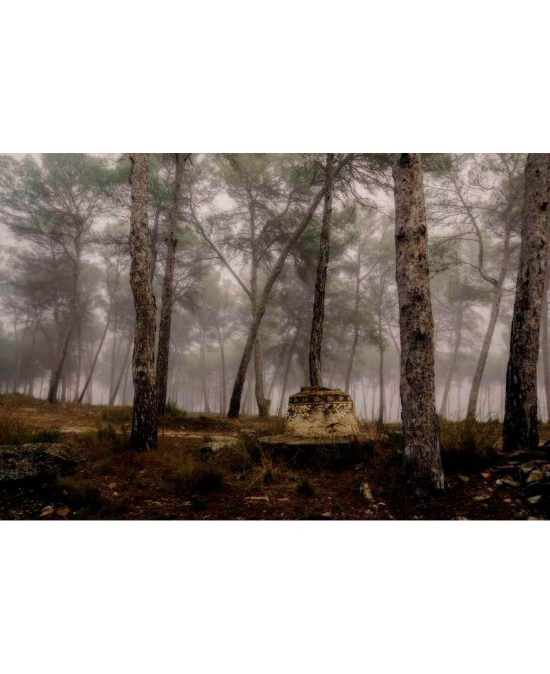 Fotografía Artística Restos del Balneario de Bellús