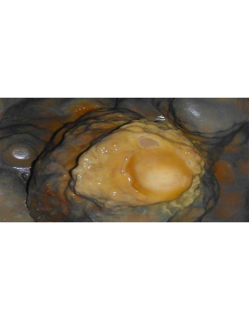 Fotografía Espeleológica "Huevo en la Gruta" - Formación Natural