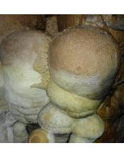 Fotografía Espeleológica "Cueva Lago de Ayora"