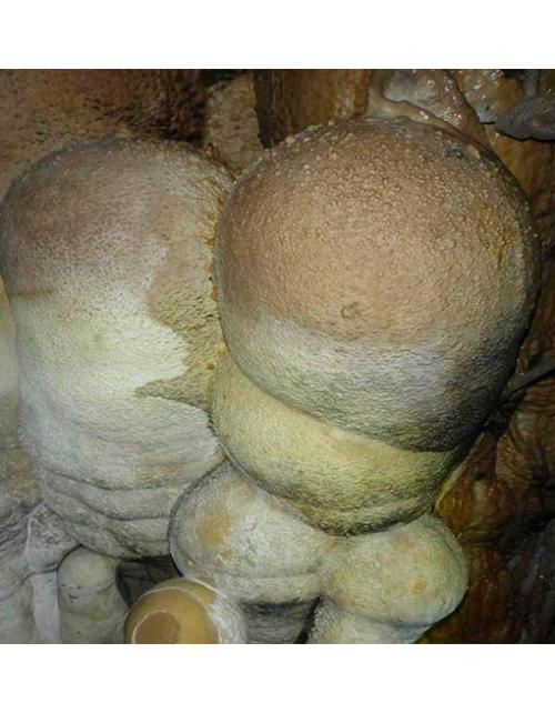 Fotografía Espeleológica "Cueva Lago de Ayora" - Formación Natural (70x72 cm)