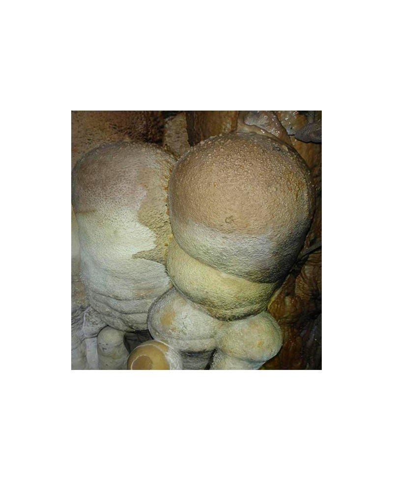 Fotografía Espeleológica "Cueva Lago de Ayora"